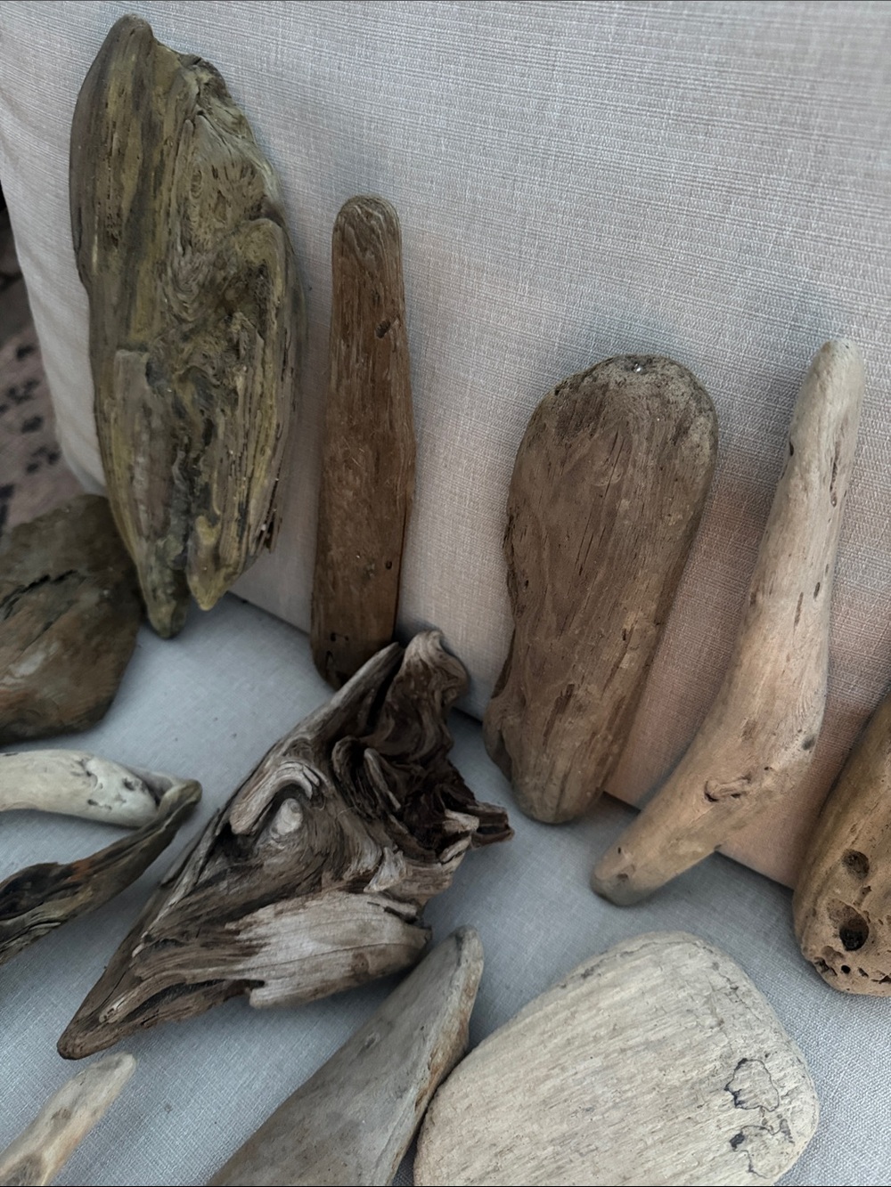 Natural Pacific Northwest Collected Beach Driftwood Decorative Accents 15 pcs - Picture 5 of 12